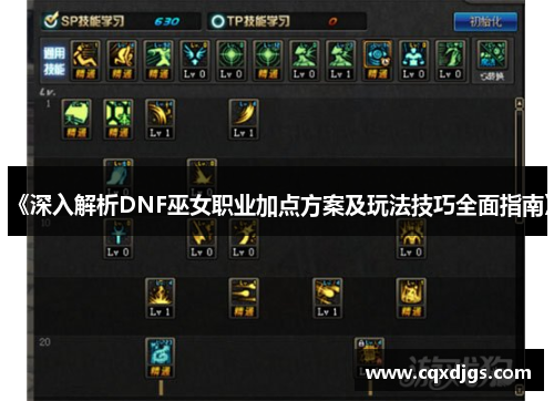 《深入解析DNF巫女职业加点方案及玩法技巧全面指南》 《深入解析DNF巫女职业加点方案及玩法技巧全面指南》
